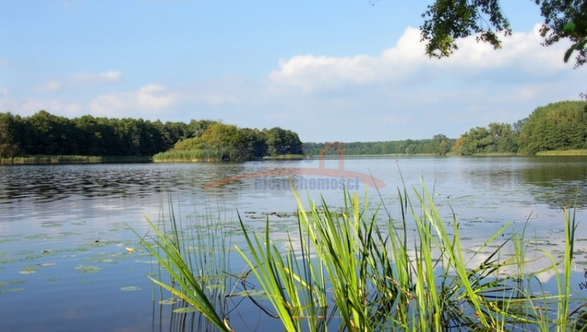 Działka Sprzedaż Warnice