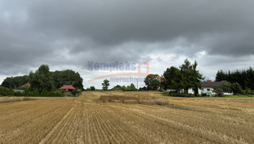 Działka Sprzedaż Kolonia Maszewo