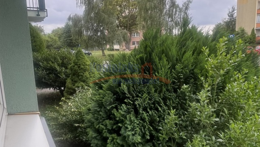 Mieszkanie Sprzedaż Szczecin os. Arkońskie Zakole