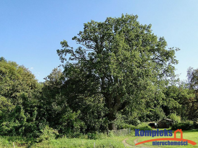 Kurów działka inwest. 2,8 ha, piękny widok na Odrę