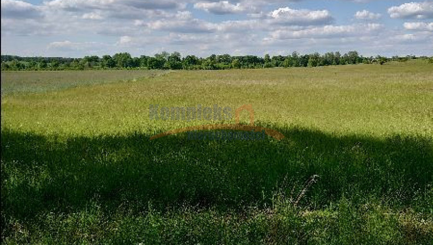 Działka Sprzedaż Dolina