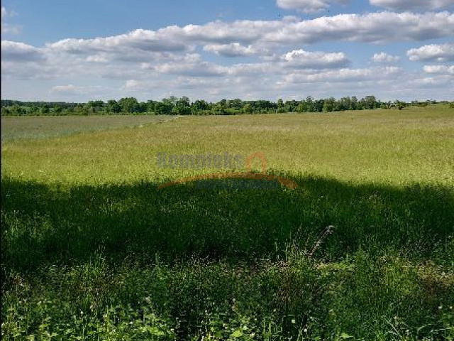 Działka Sprzedaż - Dolina