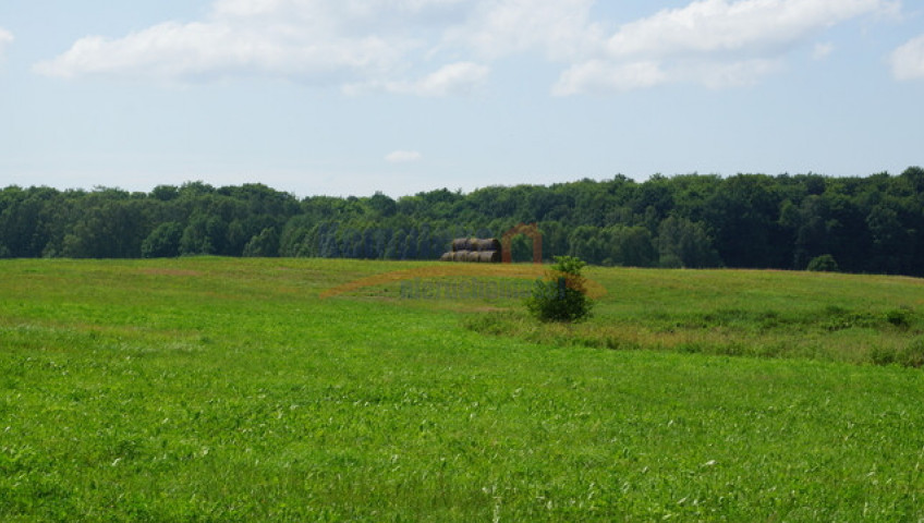 Działka Sprzedaż Bobolice