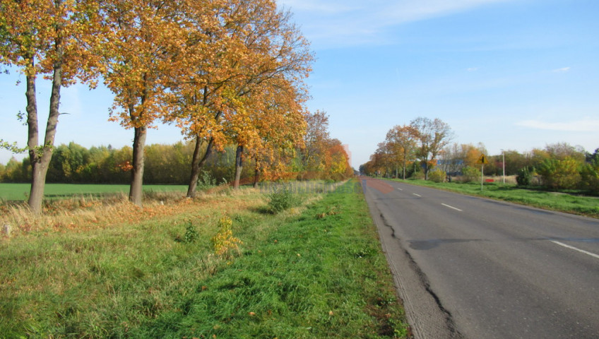 Działka Sprzedaż Kobylanka