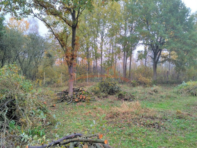 Grębowo k/Kamienia Pomorskiego działka na sprzedaż