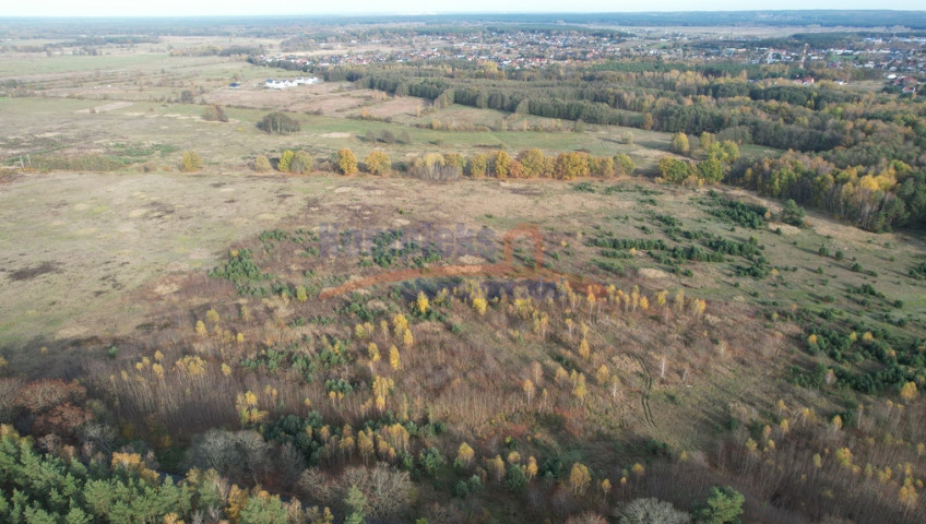 Działka Sprzedaż Buk