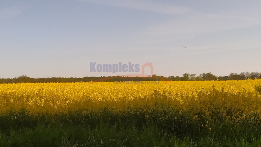 Działka Sprzedaż Bielkowo Zbożowa