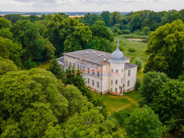 Zabytkowy pałac tuż przy jeziorze i lesie!