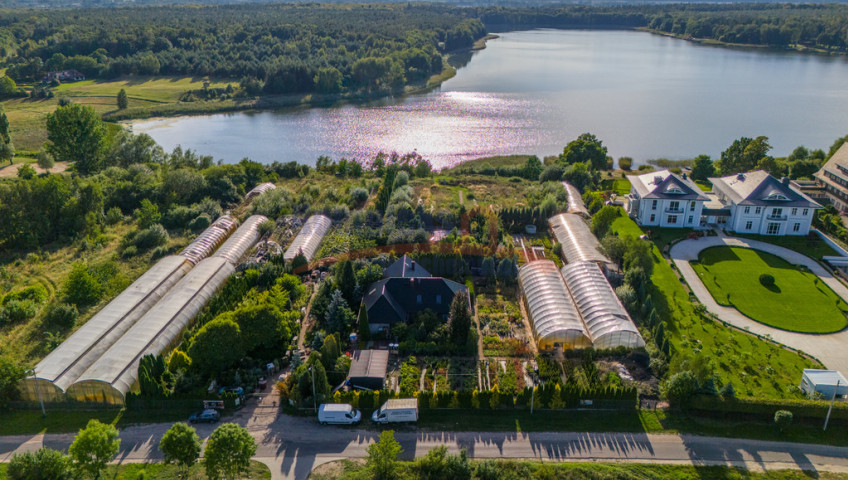 Działka Sprzedaż Binowo