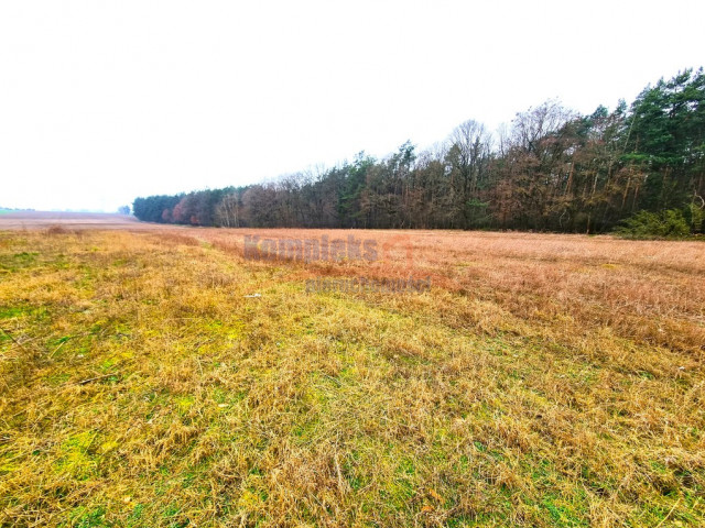 Działki budowlane w Żarowie 5 minut od Stargardu