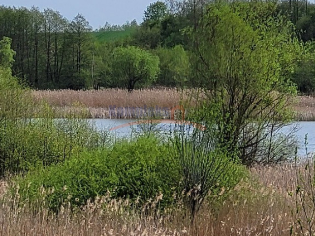 Działka Sprzedaż - Zieleniewo