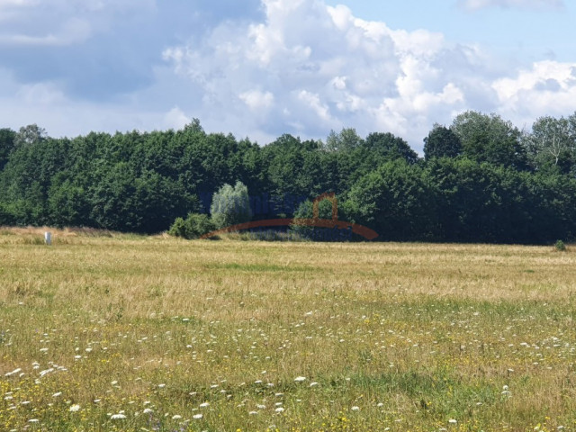 Działka Sprzedaż - Gardno