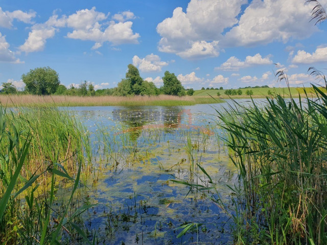 Działka Sprzedaż - Zieleniewo