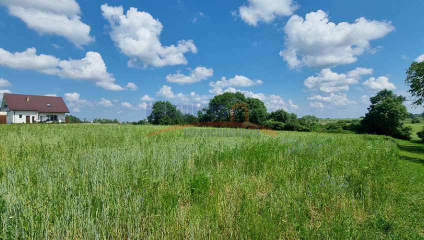 Działka Sprzedaż Barnisław