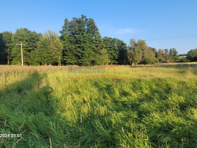 Działka Sprzedaż - Sierakowo