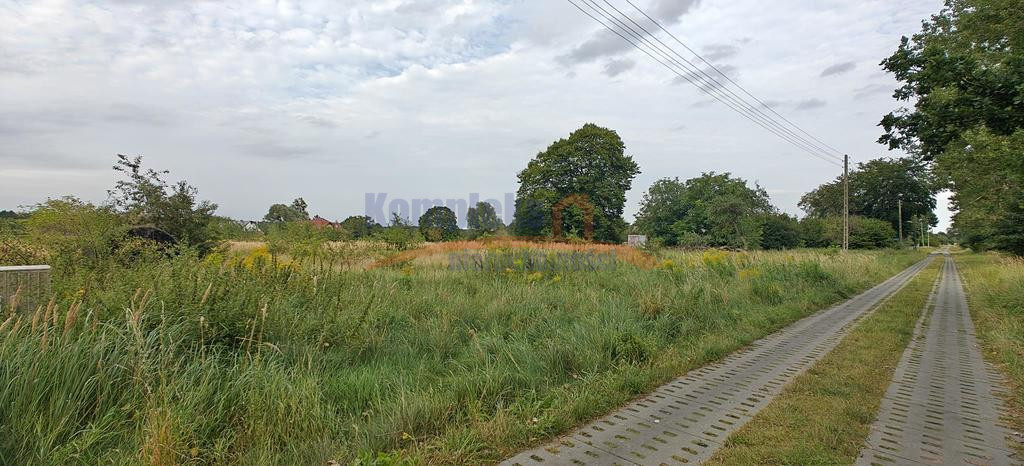 Działka Sprzedaż Białuń