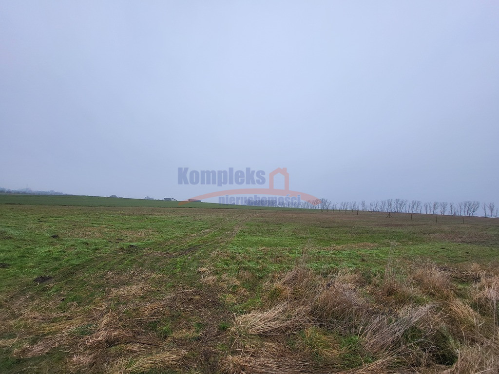 Działka Sprzedaż Warzymice