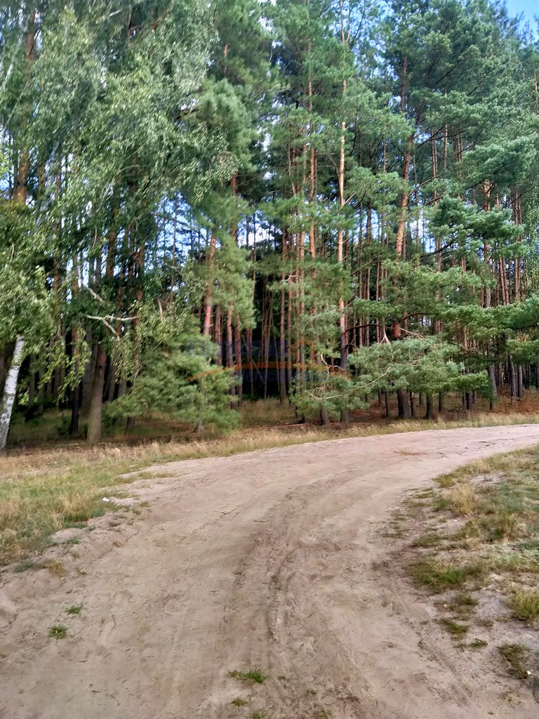 Działka Sprzedaż Tanowo Szczecińska