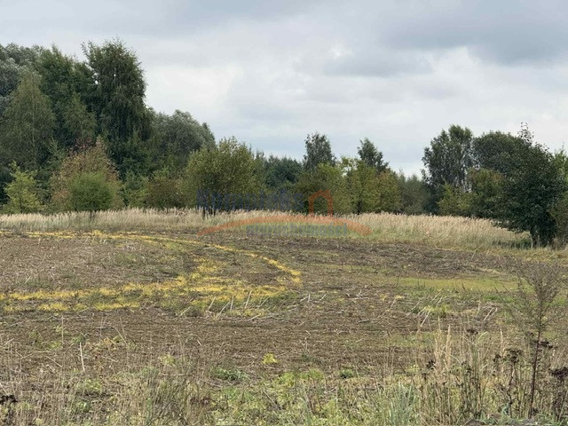 Działka Sprzedaż Stara Dąbrowa