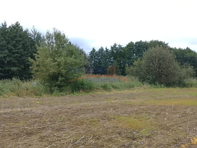 Działka Sprzedaż Stara Dąbrowa