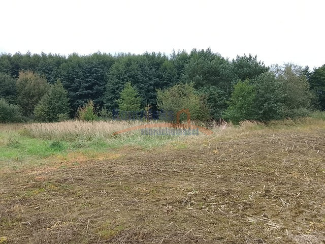 Działka Sprzedaż Stara Dąbrowa