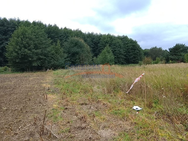 Działka Sprzedaż Stara Dąbrowa