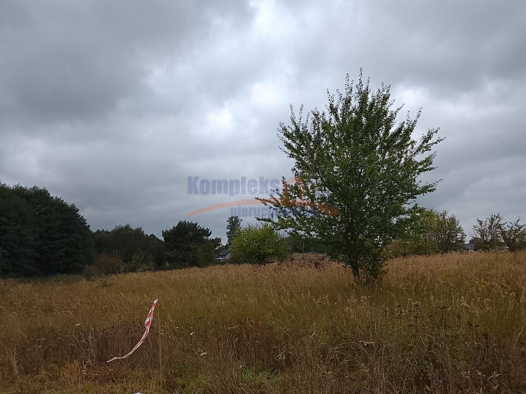Działka Sprzedaż Stara Dąbrowa