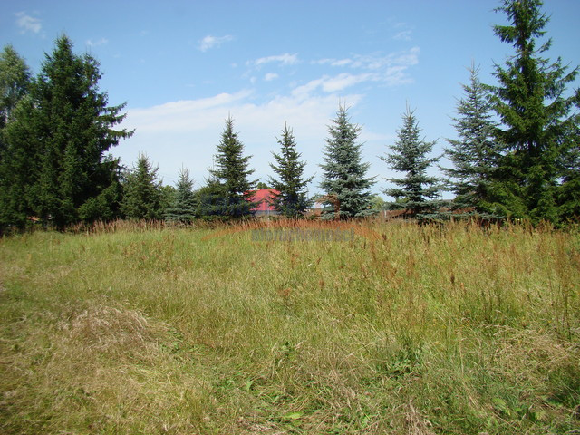 Działka Sprzedaż Kobylanka