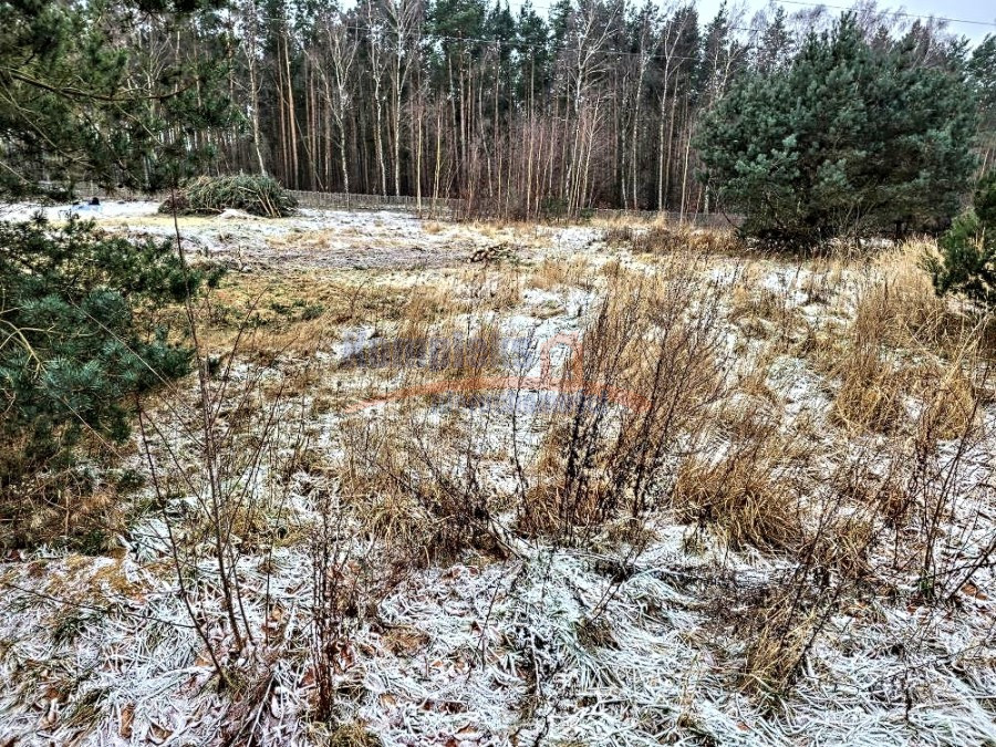 Działka Sprzedaż Dargobądz