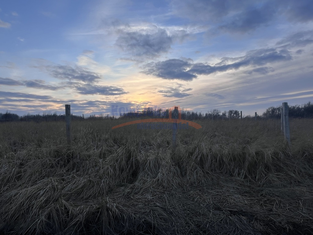 Działka Sprzedaż Szczecin Skolwin