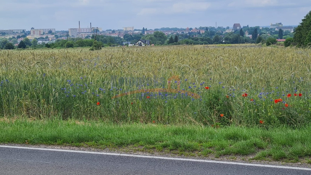 Działka Sprzedaż Stargard