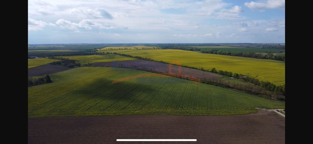 Działka Sprzedaż Pyrzyce