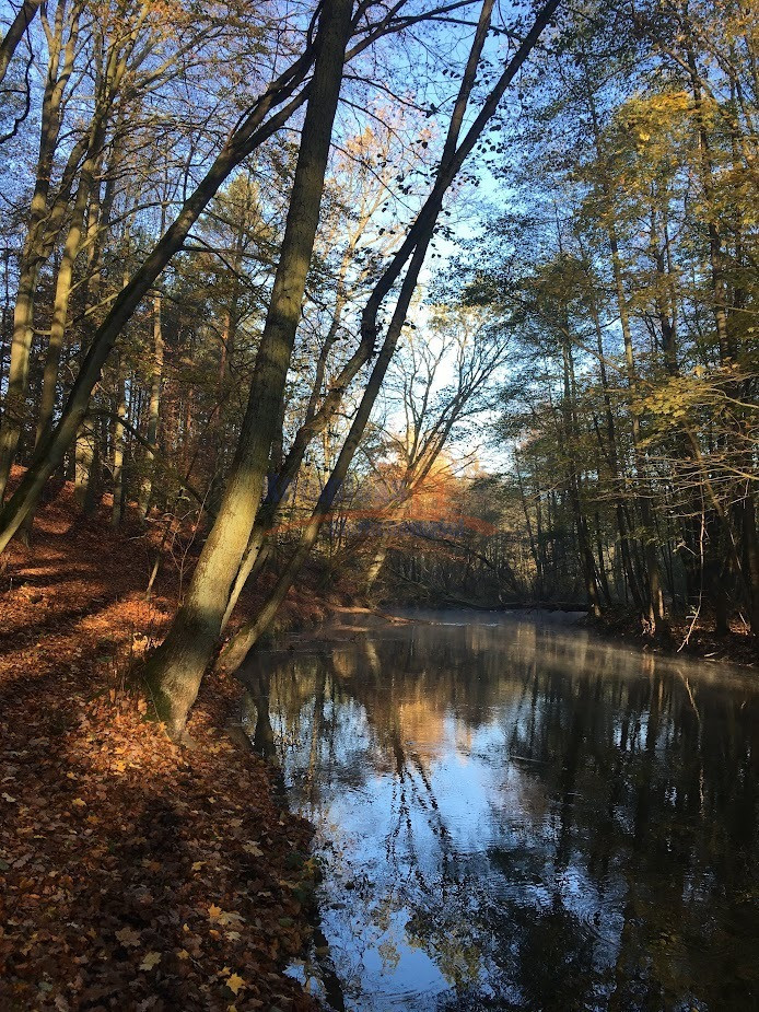 Dom Sprzedaż Szczecin Jezierzyce