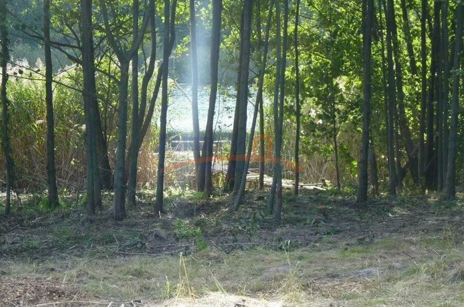 Działka Sprzedaż Zieleniewo