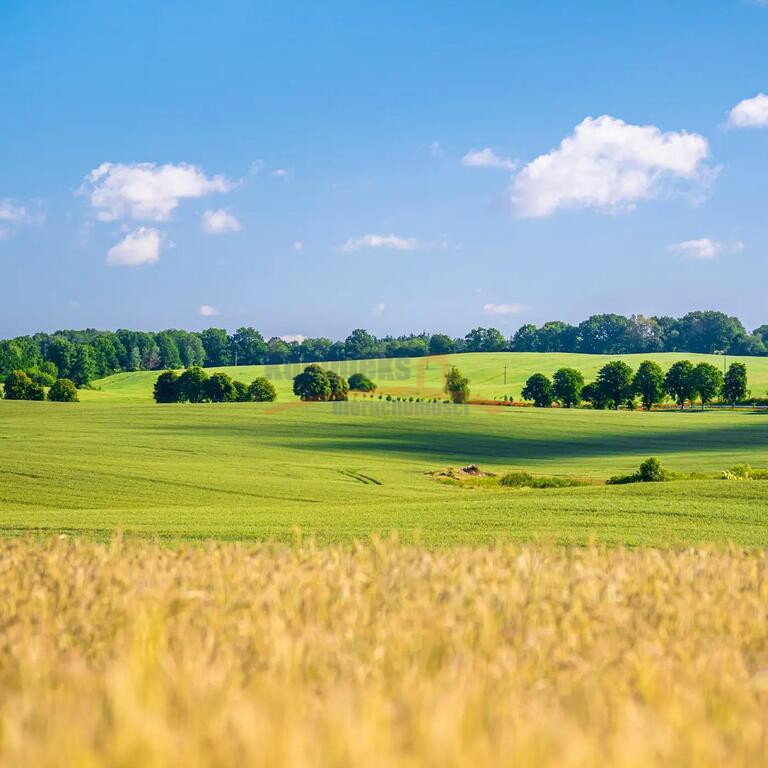Działka Sprzedaż Przemocze