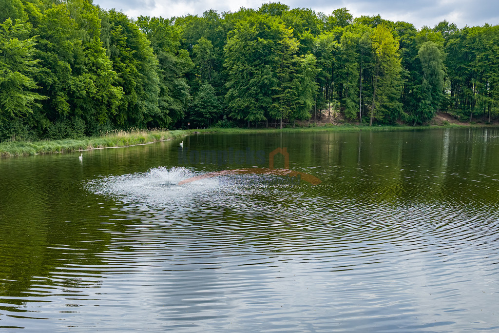 Działka Sprzedaż Wisławie