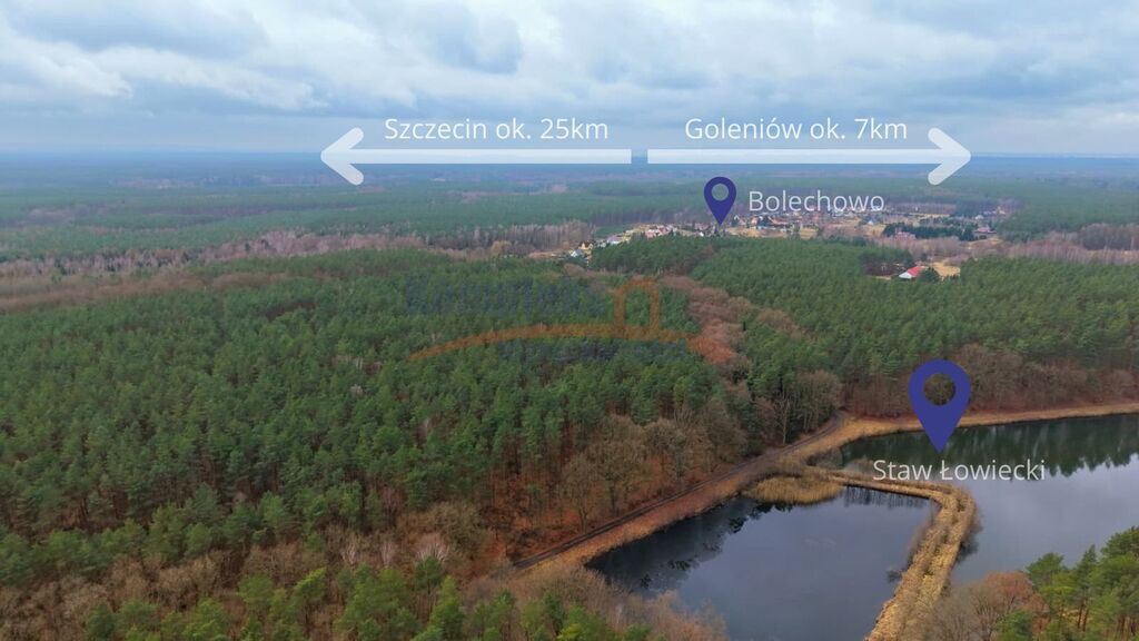 Dom Sprzedaż Bolechowo