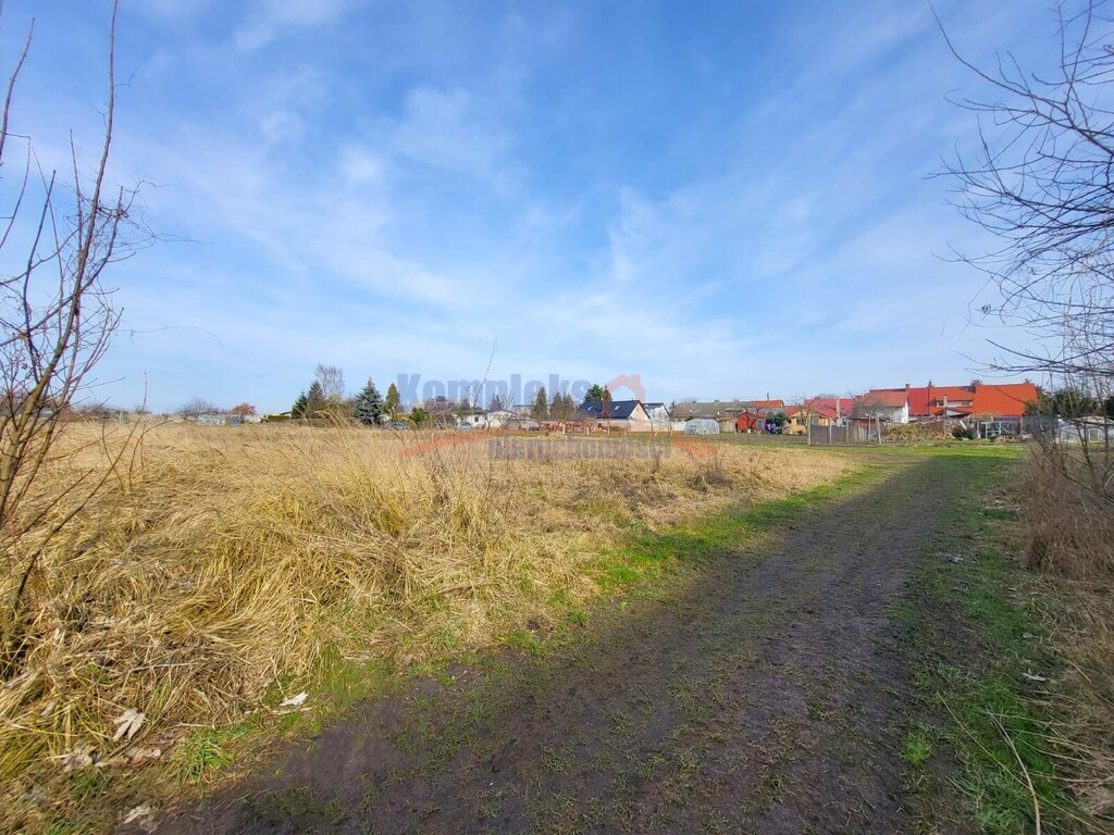 Działka Sprzedaż Koszewo