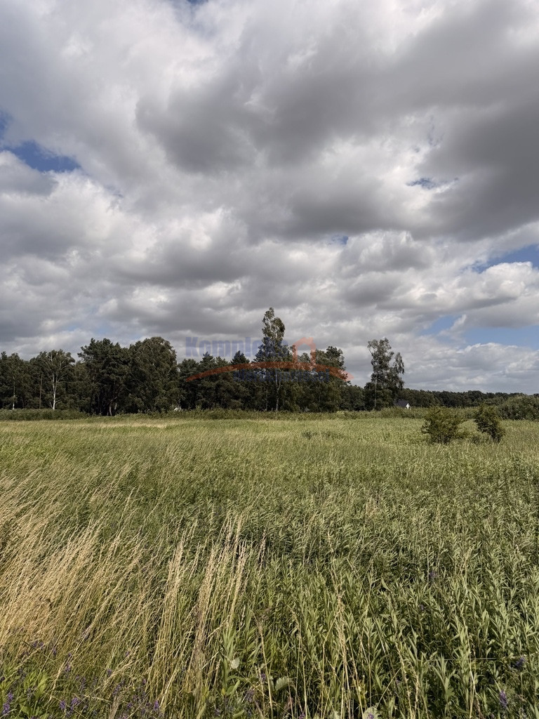 Działka Sprzedaż Niedźwiedź