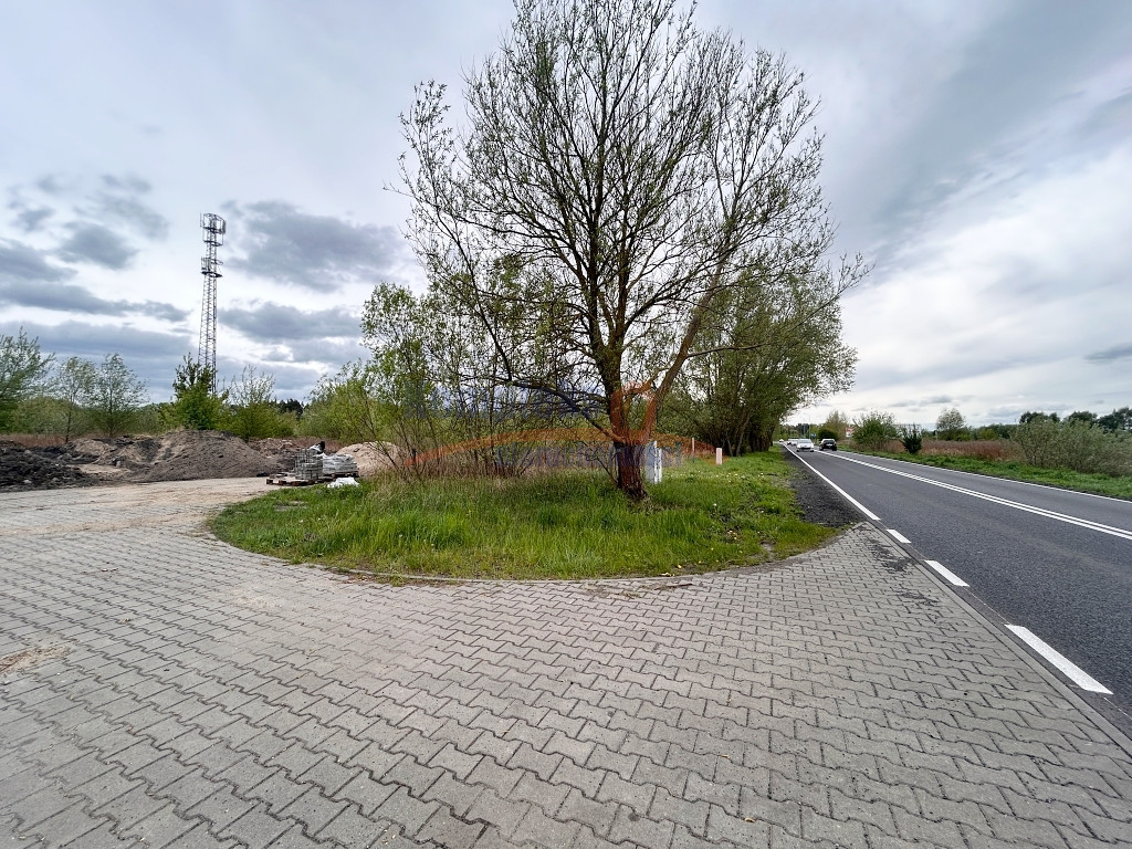 Działka Sprzedaż Szczecin Dąbie Lubczyńska