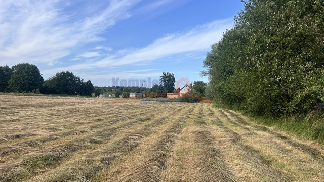Działka Sprzedaż Tatynia