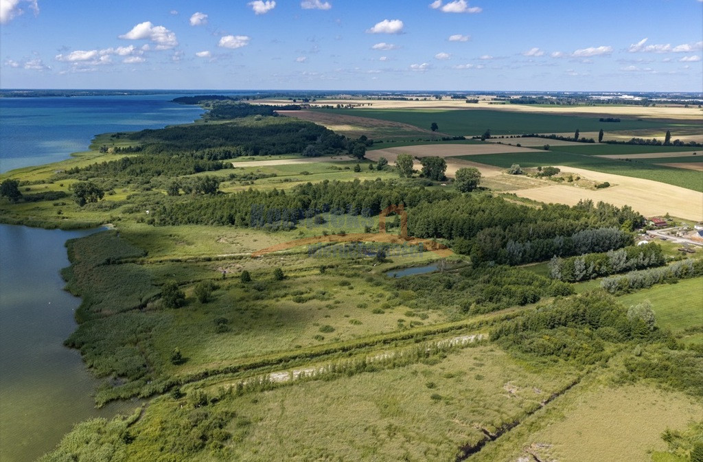 Działka Sprzedaż Wierzbno