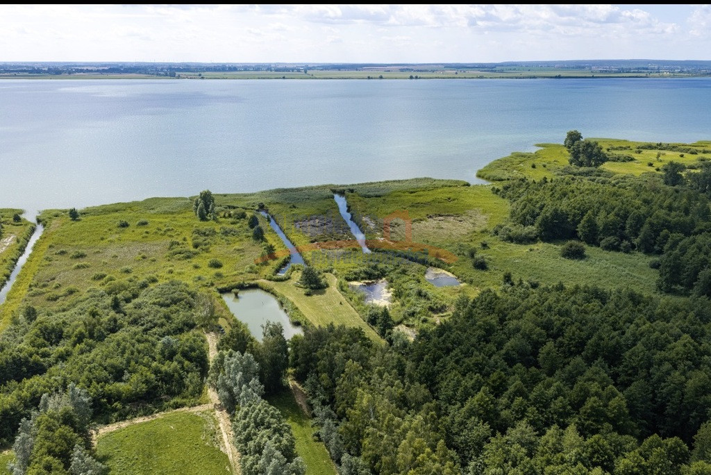Działka Sprzedaż Wierzbno