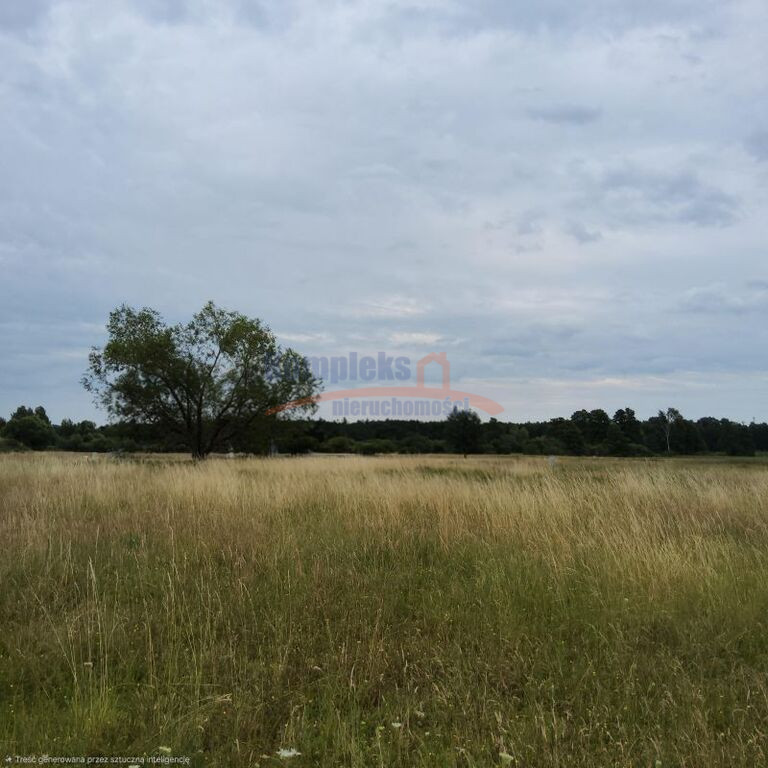 Działka Sprzedaż Buk