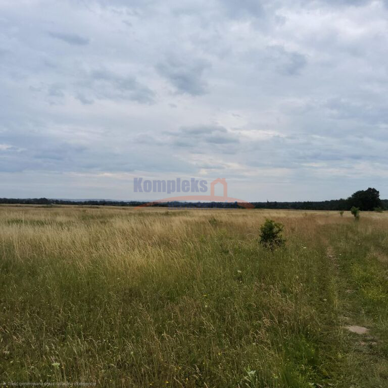 Działka Sprzedaż Buk