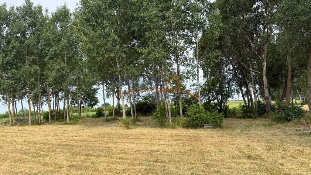 Działka Sprzedaż Marszewo