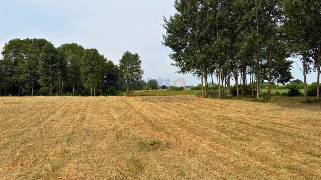 Działka Sprzedaż Marszewo