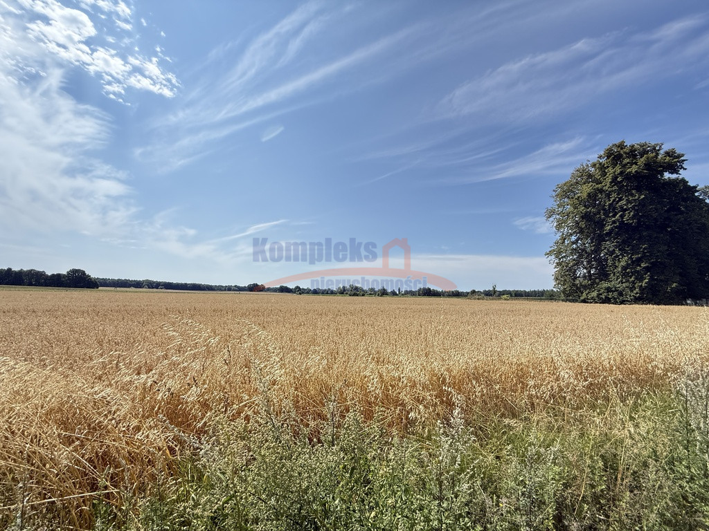 Działka Sprzedaż Oświno
