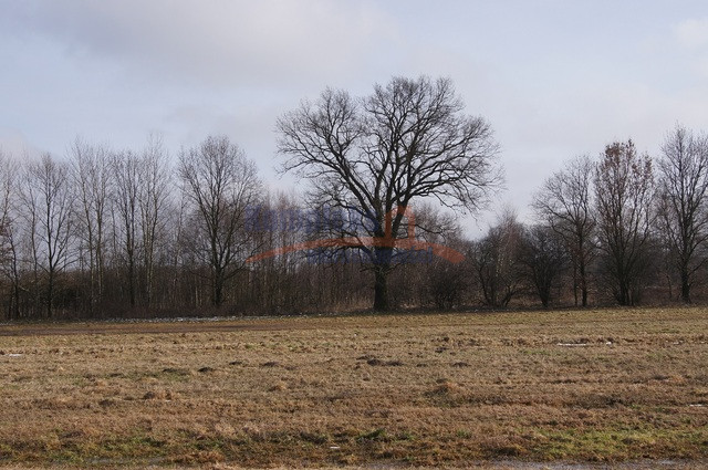 Działka Sprzedaż Jarzębowo