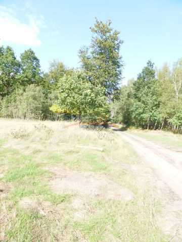 Działka Sprzedaż Grzepnica